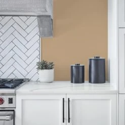 ColorPlace ULTRA Interior Paint & Primer, Warm Caramel, Semi-Gloss, 1 Gallon -Valspa Bathroom Shop 54989ad1 e3cc 4ded bbca 942df7c07467.0b3325e576c1b5f5cb5d8aba6154d342 1800x1800