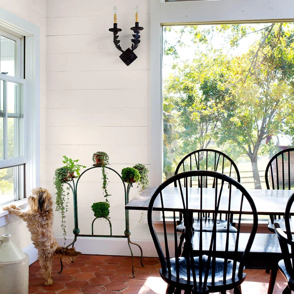 ColorPlace ULTRA Interior Paint & Primer, Whitecliff Beige, Satin, 1 Gallon 5 ColorPlace ULTRA Interior Paint & Primer, Whitecliff Beige, Satin, 1 Gallon - Image 3