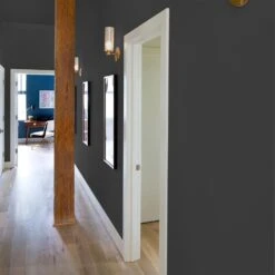 ColorPlace ULTRA Interior Paint & Primer, Onyx Black, Flat, 1 Gallon 17 ColorPlace ULTRA Interior Paint & Primer, Onyx Black, Flat, 1 Gallon -Valspa Bathroom Shop a5fc47e2 79b2 41a5 8a0d fe29f0ecbab1.83b02430d358274c1d4d3caa9be68c7c 1800x1800