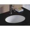 Wells 17 In. X 14 In. X 8 In. Oval Vitreous Ceramic Lavatory Single Bowl Undermount In White -Valspa Bathroom Shop af969ba21b6675ccc427385d07e3be33 1800x1800