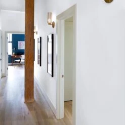 ColorPlace ULTRA Interior Paint & Primer, Cloud Motif Grey, Semi-Gloss, 1 Gallon -Valspa Bathroom Shop bc8fc602 1a89 4725 9aeb 414d673a62c2.436a9d434e9567cfe33bcbc7499cadd0 1800x1800