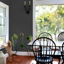 ColorPlace ULTRA Interior Paint & Primer, Onyx Black, Flat, 1 Gallon 16 ColorPlace ULTRA Interior Paint & Primer, Onyx Black, Flat, 1 Gallon -Valspa Bathroom Shop e252cffe 8700 43f8 a55f c25b928601cd.37610b144ac54f1c1019d960e7868b09 1800x1800