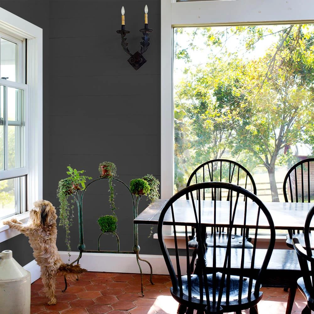 ColorPlace ULTRA Interior Paint & Primer, Onyx Black, Flat, 1 Gallon 5 ColorPlace ULTRA Interior Paint & Primer, Onyx Black, Flat, 1 Gallon - Image 3