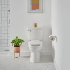 American Standard Champion Tall Height 2-Piece High-Efficiency 1.28 GPF Single Flush Round Front Toilet In White Seat Included -Valspa Bathroom Shop f36bdadb7269186b11972a17098581c7 1800x1800
